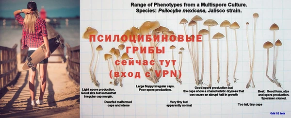 дмт Бронницы